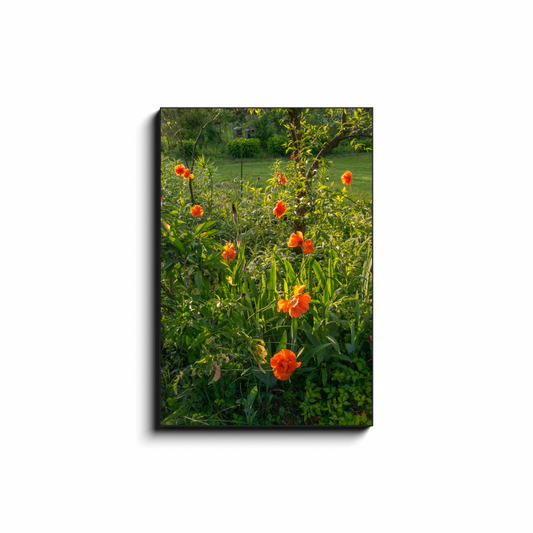 Triangular Floral Phalanx - photodecor.net