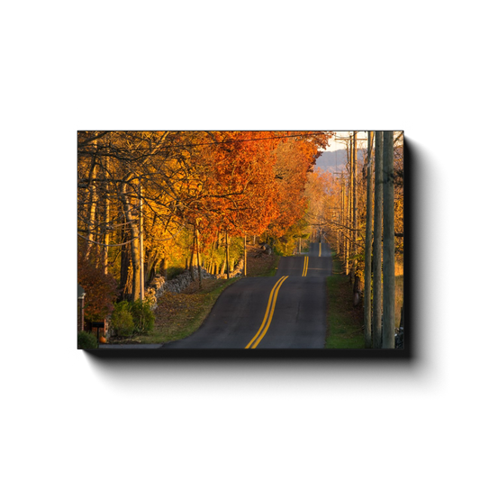 Autumn’s Glory at Boyce - photodecor.net