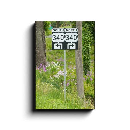 Decision: Which Direction? - photodecor.net