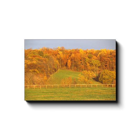 Autumnal Virginia Piedmont Countryside - photodecor.net