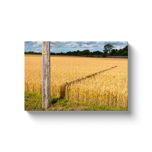 Sundial Against the Grain - photodecor.net
