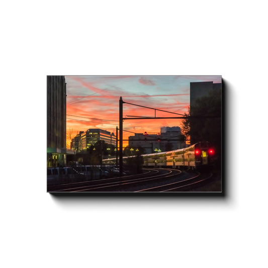 Goodnight to the City - photodecor.net