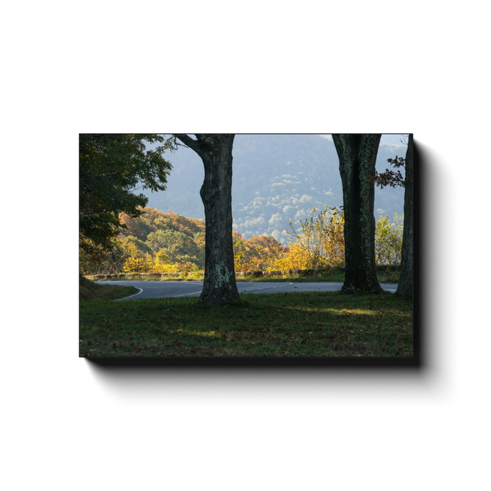 Changing Colors Along the Skyline Drive - photodecor.net