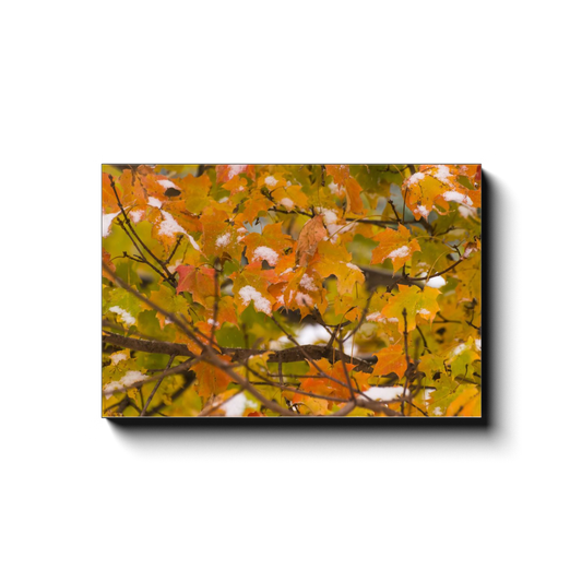 Simultaneous Seasonal Colors-3 - photodecor.net