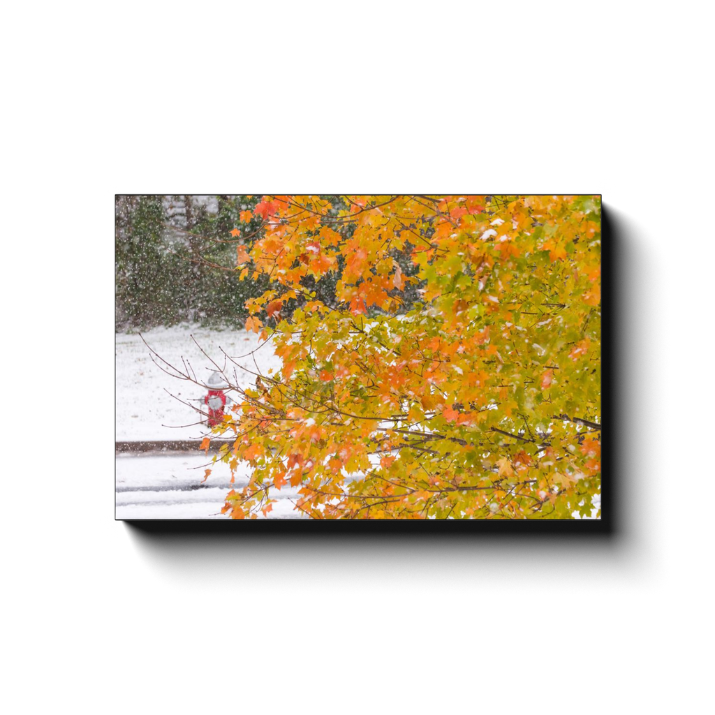 Simultaneous Seasonal Colors-1 - photodecor.net