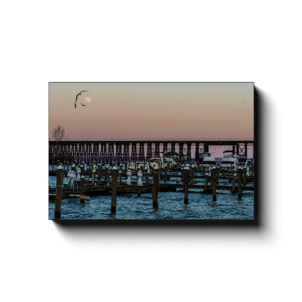 Aerial Moon Dance - photodecor.net