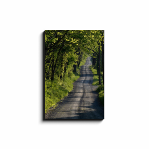Country Road - photodecor.net