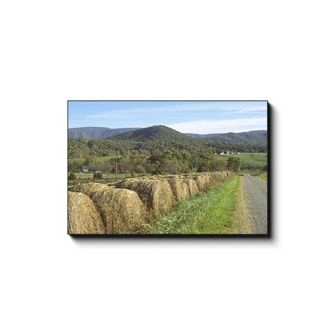 Hay Bales at Limeton - photodecor.net