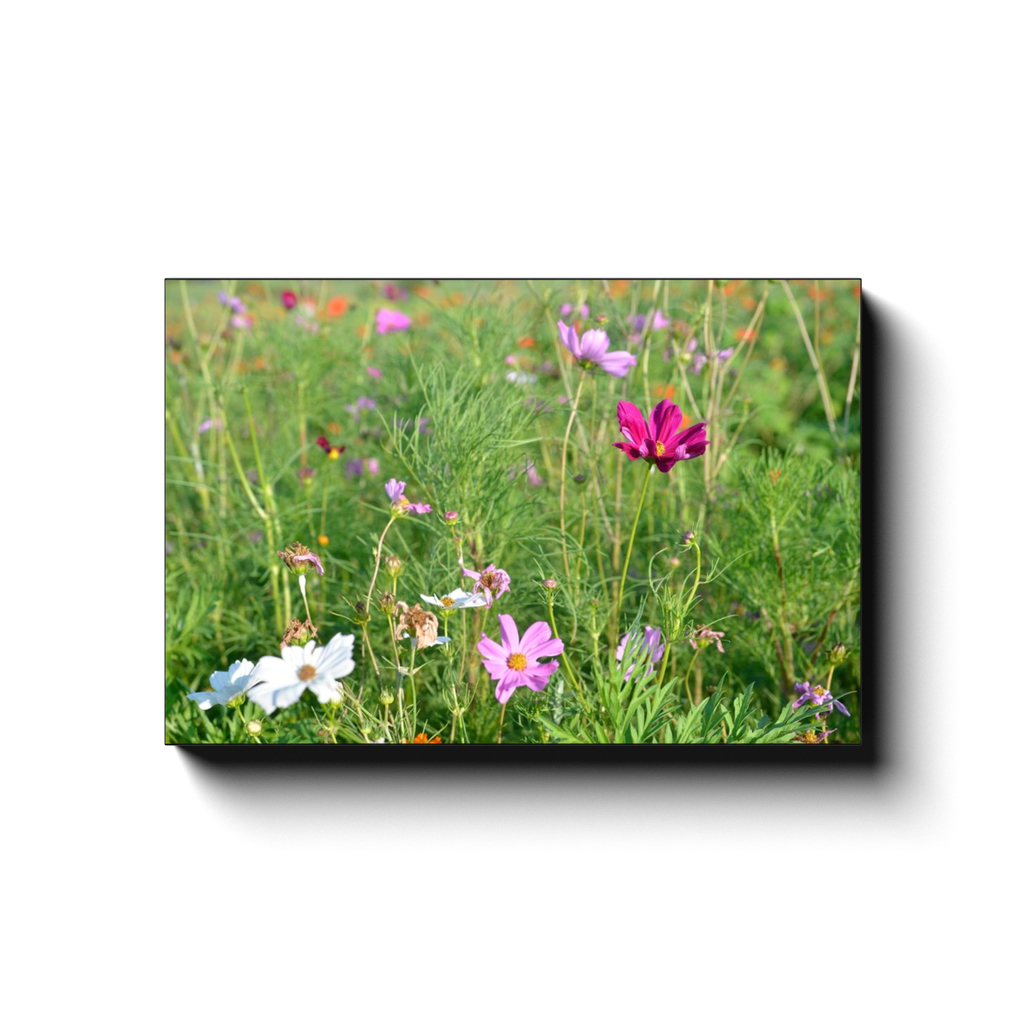 Wildflowers - photodecor.net