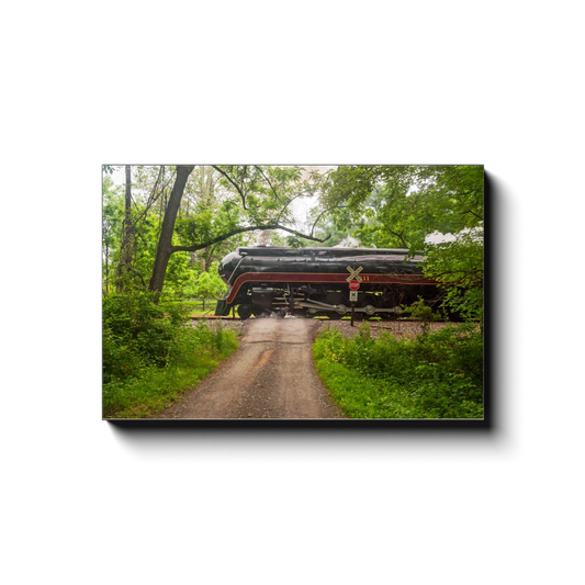 Through the Woods in the Virginia Piedmont - photodecor.net