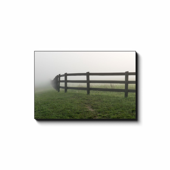 Foggy Fenceline - photodecor.net