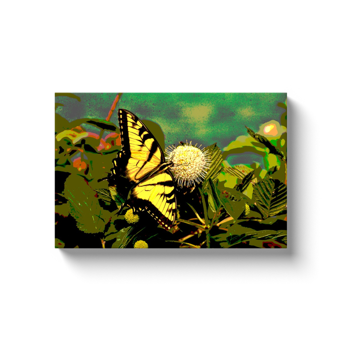 Butterfly Brunch - photodecor.net