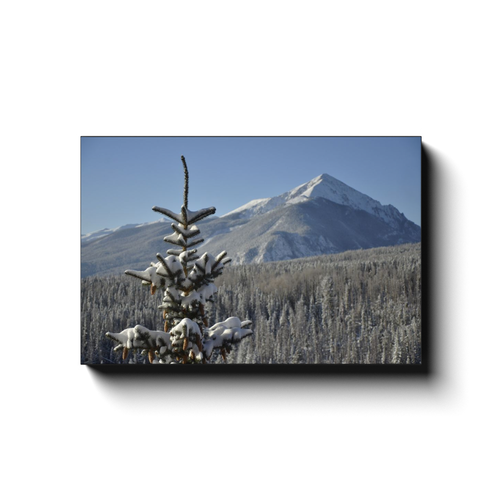Alpine Snow - photodecor.net