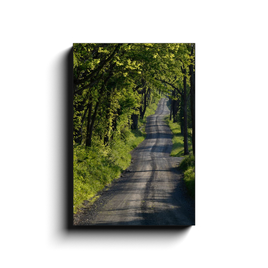 Country Road - photodecor.net