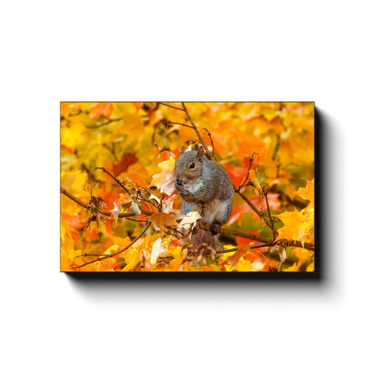 Al Fresco Autumn Dining - photodecor.net