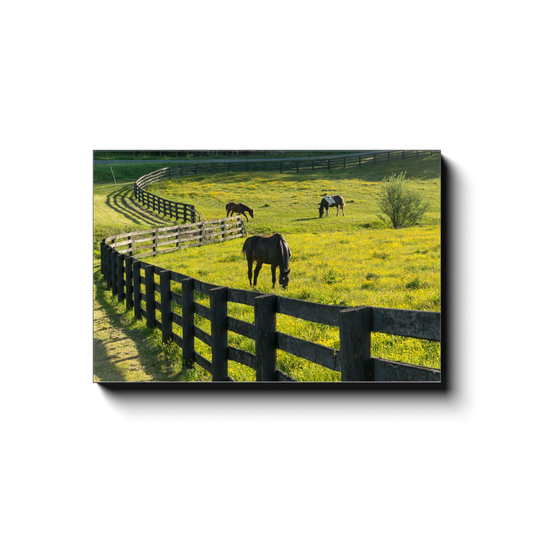 Rural Browsing; no Worldwide Web Needed - photodecor.net