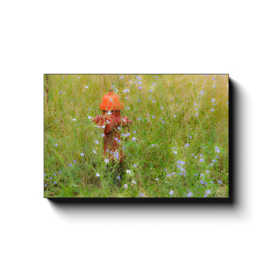 Attempting to Blend In - photodecor.net